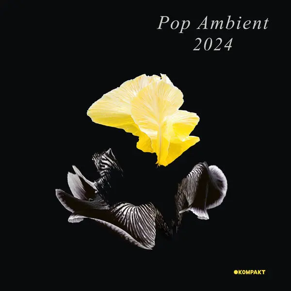 Pop Ambient 2024 (2023)