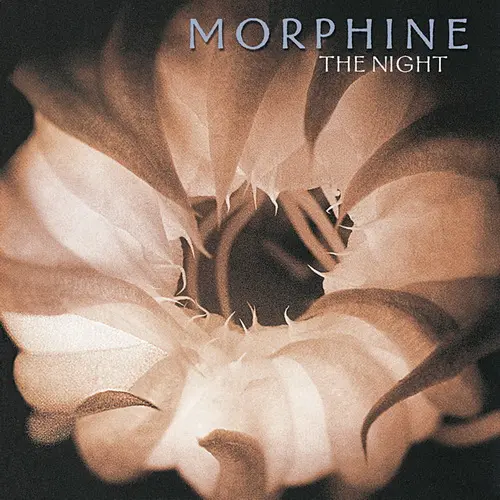 Morphine - The Night (2000/2023)