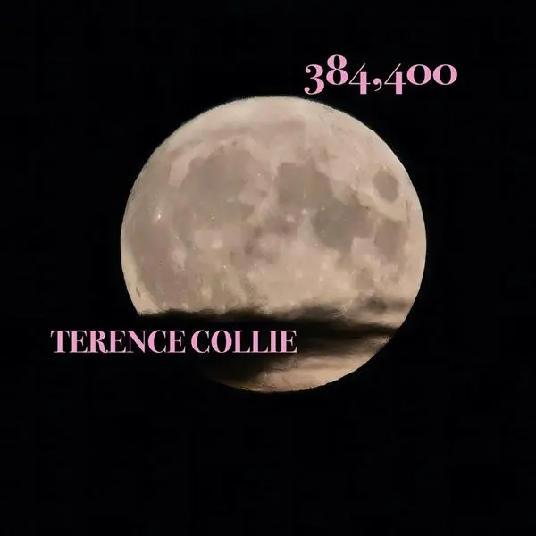 Terence Collie - 384,400 (2023)