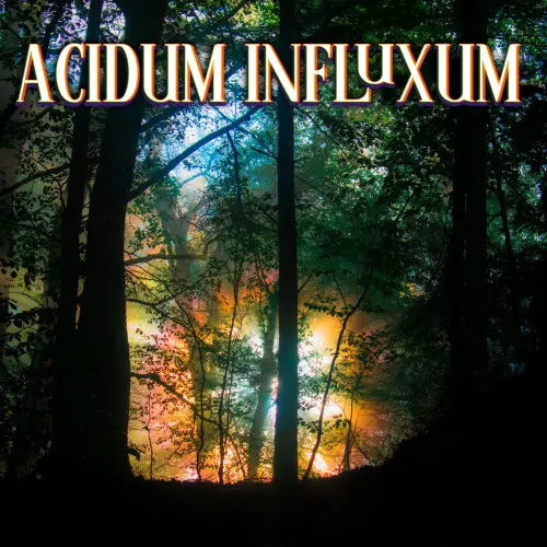 Acidum Influxum (2023)