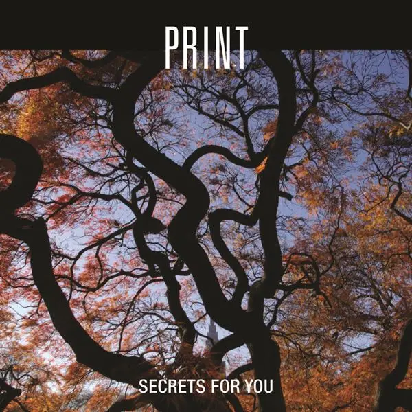 Print - Secrets for You (2024)