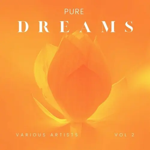 Pure Dreams, Vol. 2 (2024)