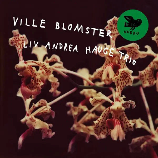 Liv Andrea Hauge Trio - Ville Blomster (2024)