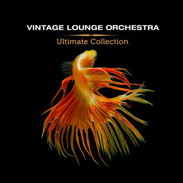 Vintage Lounge Orchestra - Ultimate Collection (2023)