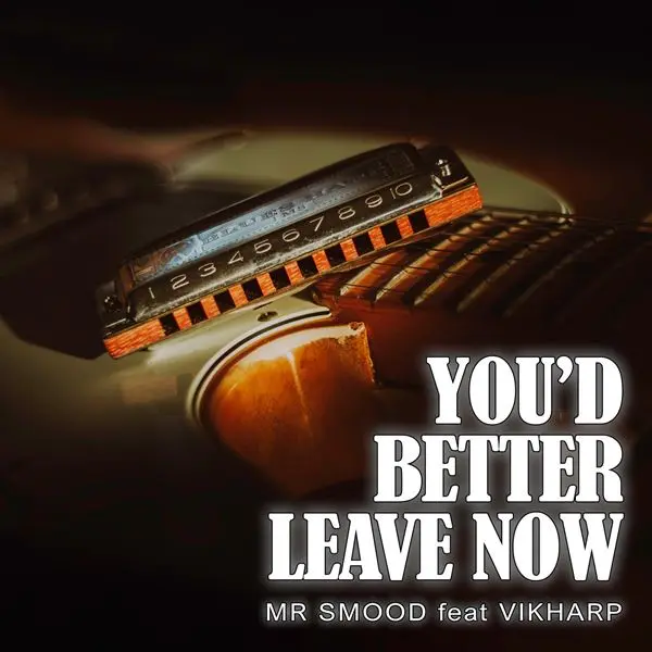 Mr. Smood - You'd Better Leave Now (2024)