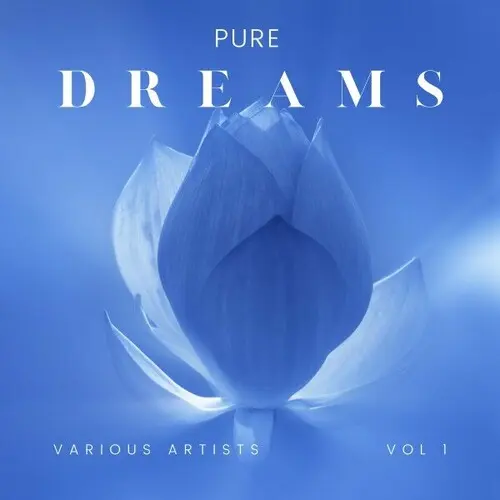Pure Dreams, Vol. 1 (2024)
