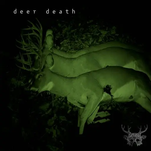 deer death - Next Death (2024)
