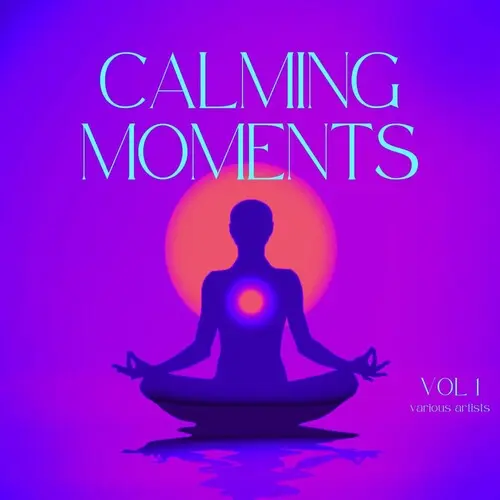 Calming Moments, Vol. 1 (2024)