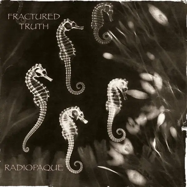 Fractured Truth - Radiopaque (2024)