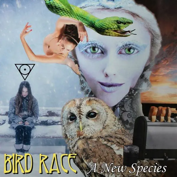 Bird Race - A New Species (2024)