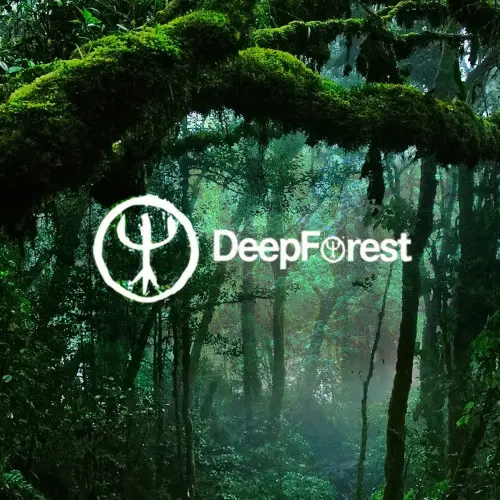 Deep Forest - Дискография (1994-2023)
