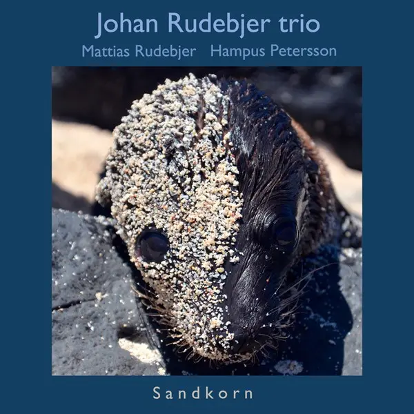 Johan Rudebjer Trio - Sandkorn (2024)