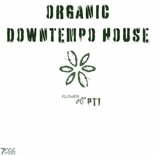 Organic Downtempo Flower House, Pt. 1-3 (2023-2024)