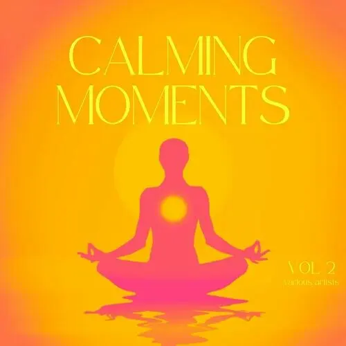 Calming Moments, Vol 2 (2024)