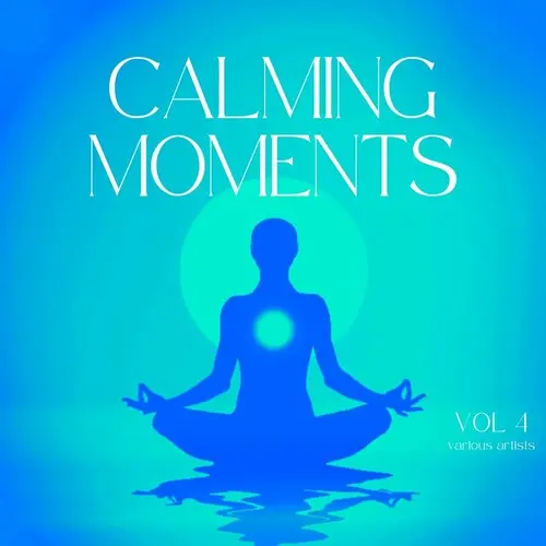 Calming Moments, Vol 4 (2024)