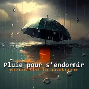 Pluie pour s'endormir [Sons de la nature] (2024)