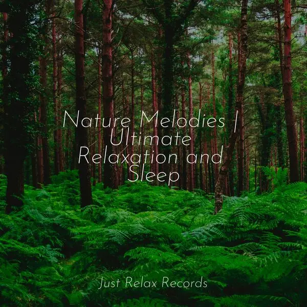 Romantic Music Ensemble - Nature Melodies | Ultimate Relaxation and Sleep (2024)