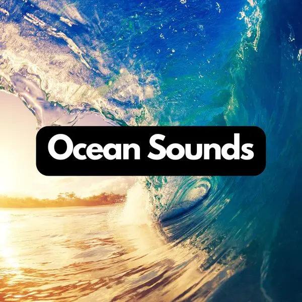 Ocean & Sea Sounds - Ocean Sounds to Relax, Sleep and Meditate (2024)