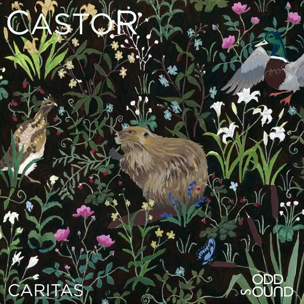 Castor - Caritas (2024)