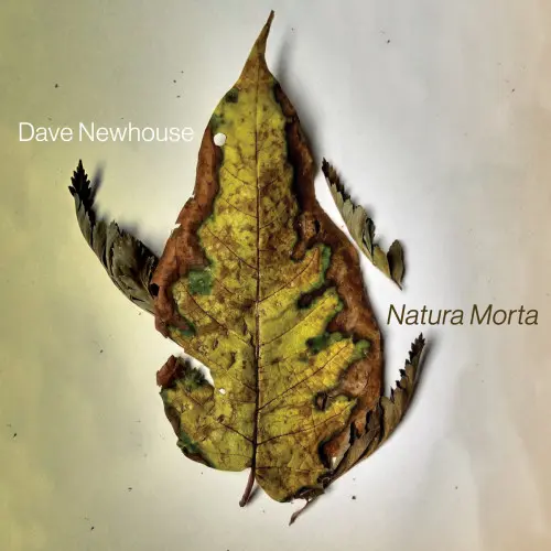 Dave Newhouse - Natura Morta (2024)