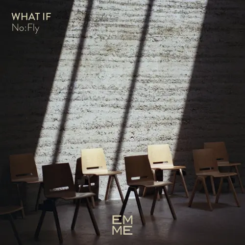 No:Fly - What If (2024)