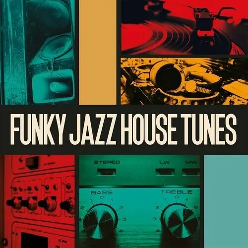 Funky Jazz House Tunes (2024)