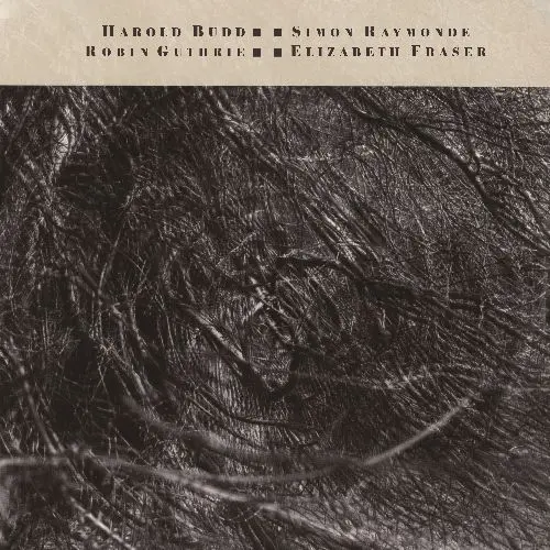 Harold Budd, Simon Raymonde, Robin Guthrie, Elizabeth Fraser - The Moon and the Melodies (1986/2024)