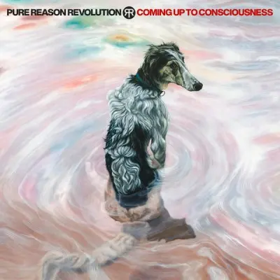 Pure Reason Revolution - Coming Up To Consciousness (2024)