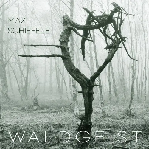 Max Schiefele (Maxxess) - Waldgeist (2024)