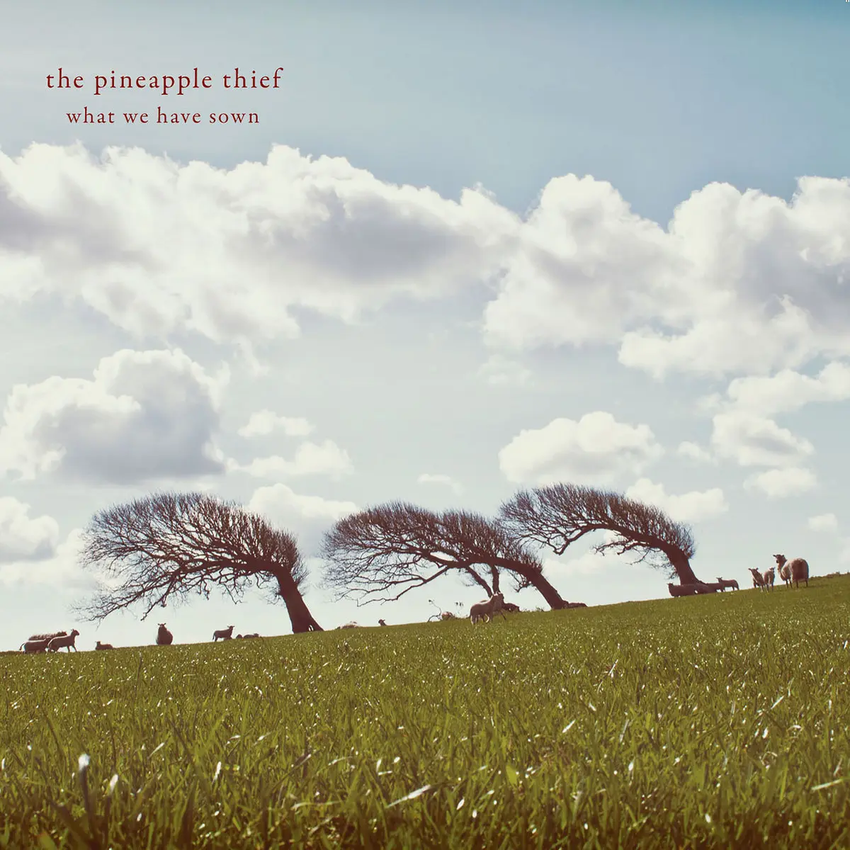 The Pineapple Thief - What we have sown (2007)