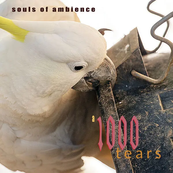 Souls of Ambience - A 1000 Tears (2024)