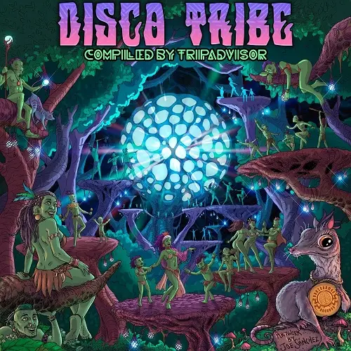 Disco Tribe (2024)