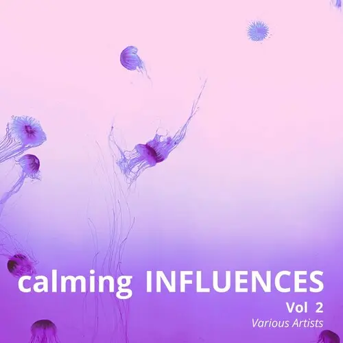 Calming Influences, Vol 2 (2024)