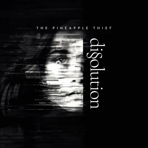 The Pineapple Thief - Dissolution (2018)