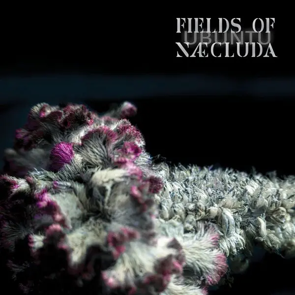 Fields of Næcluda - Ubuntu (2024)