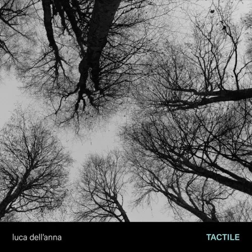 Luca Dell'Anna, Alessandro Fedrigo, Luca Colussi - Tactile (2024)