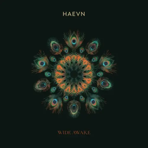 HAEVN - Wide Awake (2024)