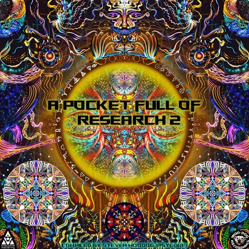 A Pocketful Of Research 2 (2024)