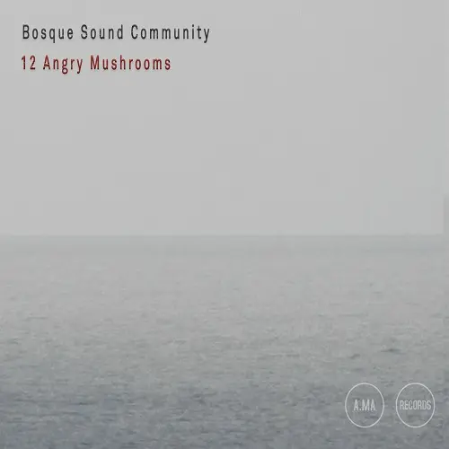 Bosque Sound Community - 12 Angry Mushrooms (2024)