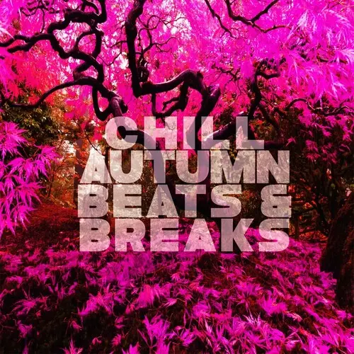 Chill Autumn Beats & Breaks (Relaxing Vibes) (2024)