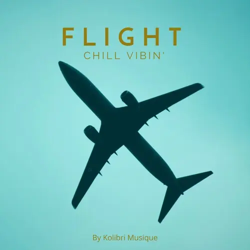 Flight, Chill Vibin' (2025)