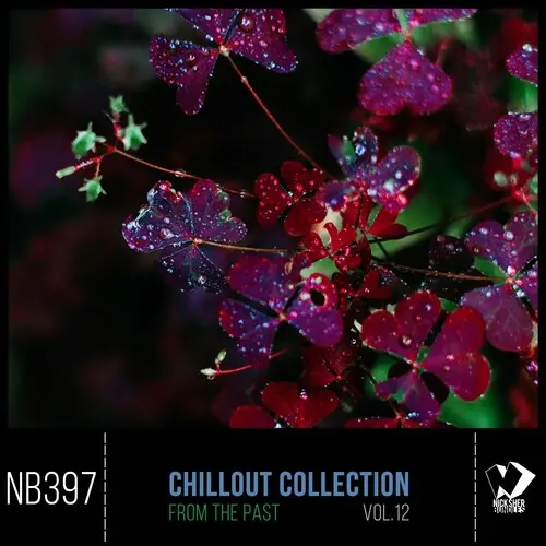 Chillout Collection From The Past Vol 12 (2025)