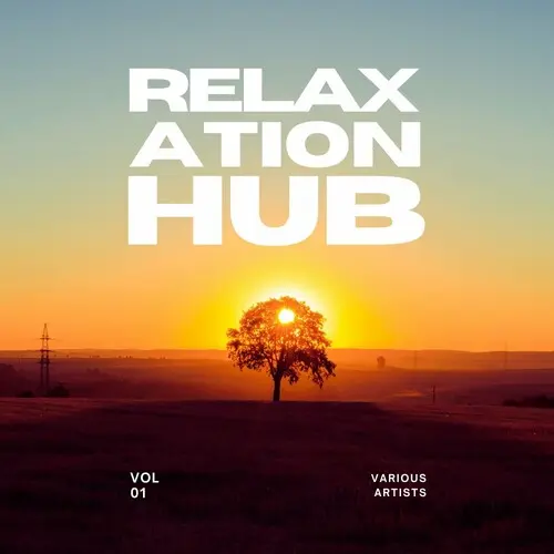 Relaxation Hub, Vol 1 (2024)