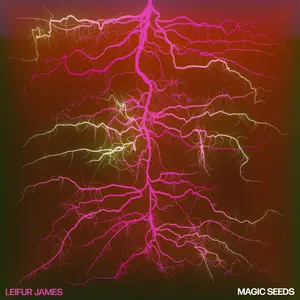 Leifur James - Magic Seeds (2024)