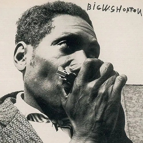 'Big' Walter Horton - Дискография (1964-2019)