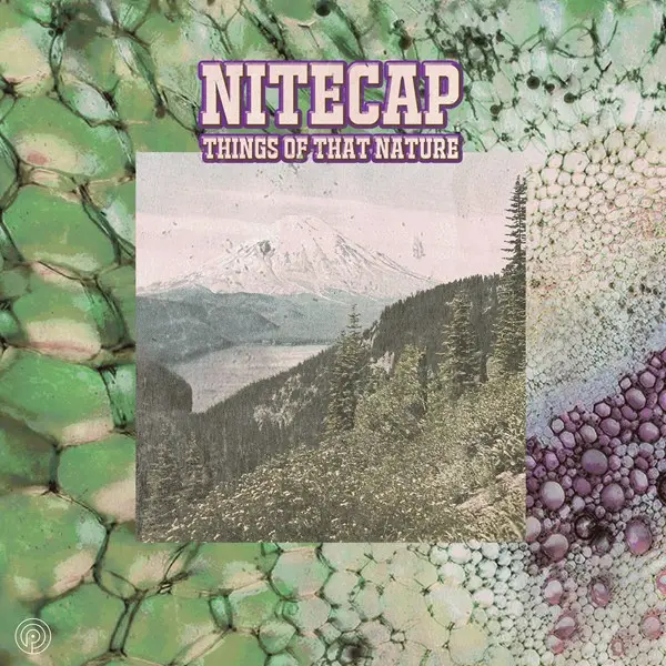 Nitecap - Things of That Nature (2025)