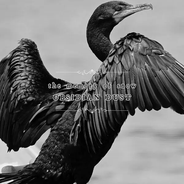 The Memory Of Snow - Obsidian Dust (2025)