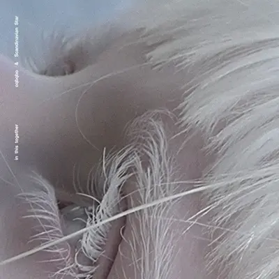 oqbqbo & Scandinavian Star - In This Together (2025)
