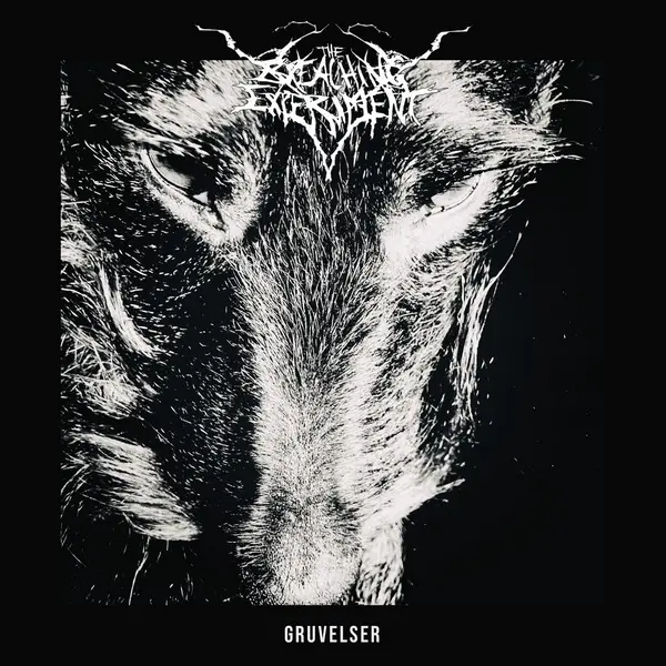 The Breaching Experiment - Gruvelser (2025)