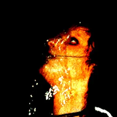 Jesus Loves Junkies - Дискография (1994-2023)